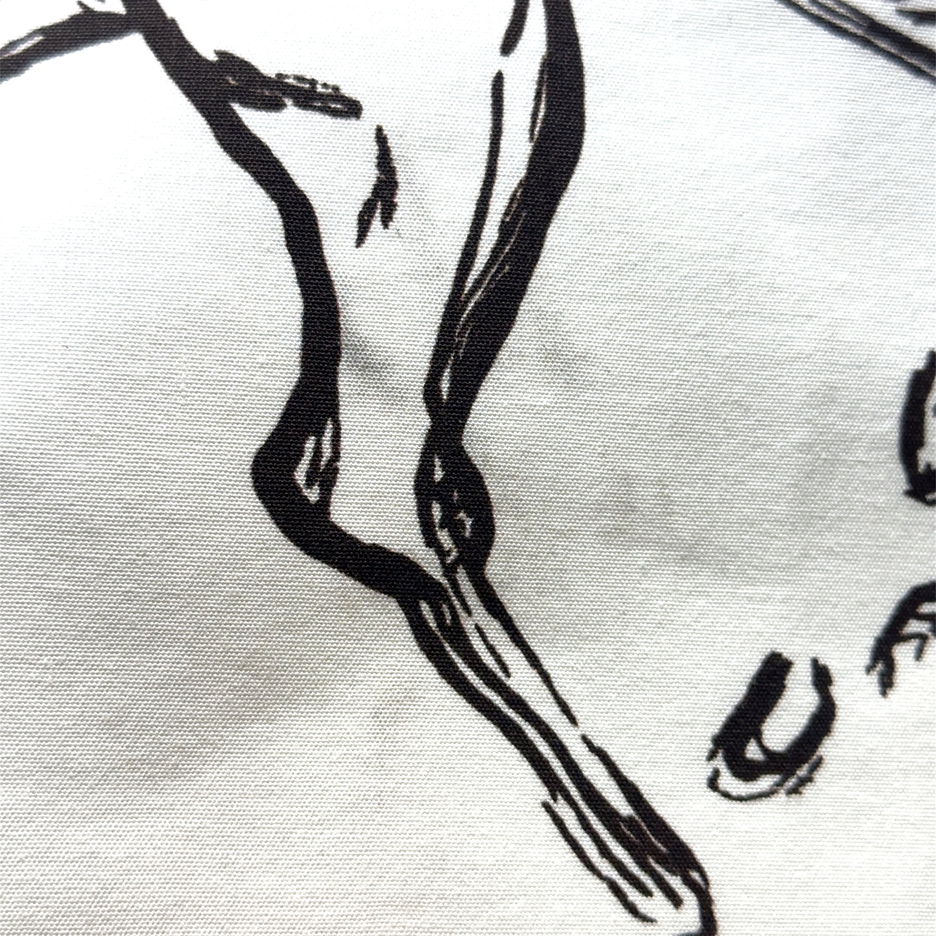 Zoom